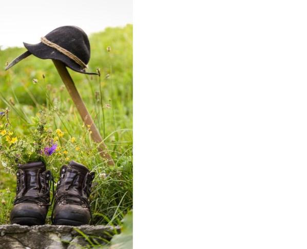 berg-und-blume-2-platz-elena-muehlsteiger-bergsteiger-bearbeitet